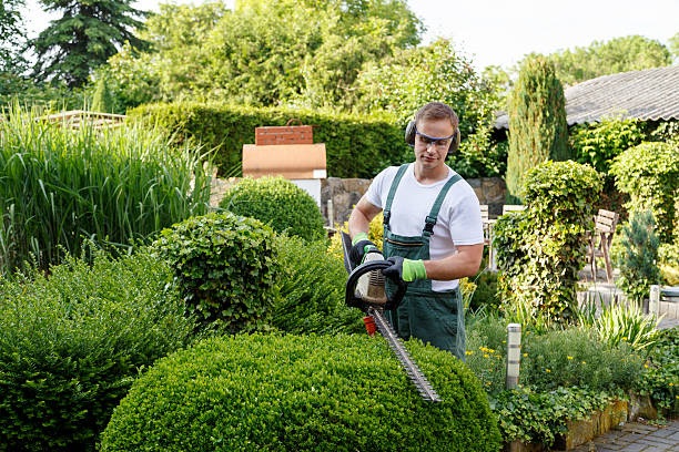 Best Residential Tree Removal  in Melbourne, AR